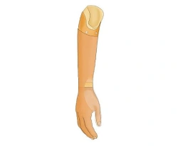 Forearm prosthesis cosmetic PR2-K-OC