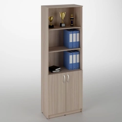 Double-door combination office cupboard