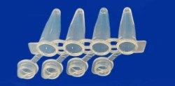 Non-sterile polymer tube for in vitro diagnostics according to TU 32.50.50-021-54287340-2022: Cone microtube PM3K-7-21-P