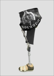 Modular femur dislocation prosthesis PN8-14
