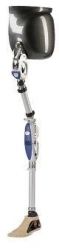 Modular hip replacement, PN8-OB