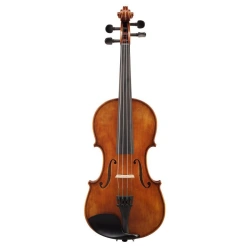 Goronok "Nikolai Petrov" master violin 4/4