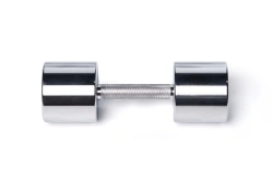 Chromed dumbbell 11 kg