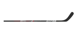 Hockey stick for hockey player ZaryAD A3
