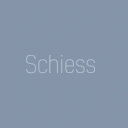 Manufacture of pallets, platforms, chip conveyors and Schiess electrical cabinets