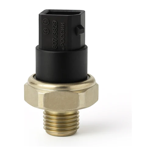 Electronic Pressure Gauges & Transmitters