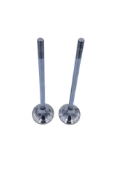 Inlet valve RDG 4014134