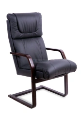 Armchair Orchid Extra Conference