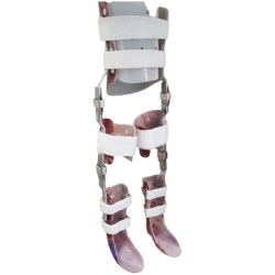 Apparatus for lower limbs and trunk (Tee) AN8-STP-03