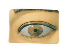 Pupil response model, 17107