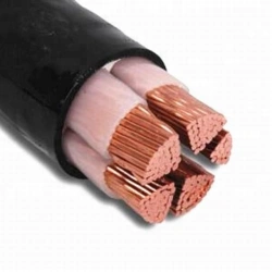 Power cable with plastic insulation for voltage 0, 66; 1kV of PvVG grade