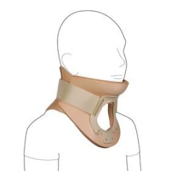 Head holder of rigid fixation