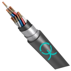 Control cable KVEBShShv-XL