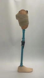 Hip prosthesis for bathing