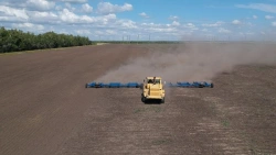 Spring sectional harrow BSP-21