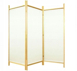 Screen