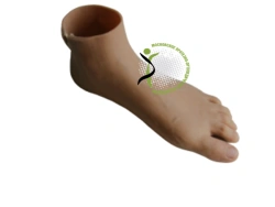 Prosthetic foot PN0-OR
