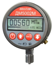 Self-powered pressure gauge DM5002M-ZHKI 100MM