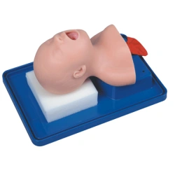 Tracheal intubation training model FA5050