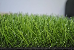 Artificial grass Optigrass MonoSport 70 MF