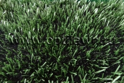 Artificial grass Optigrass PLUS 55 MF
