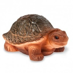 Turtle Kapa
