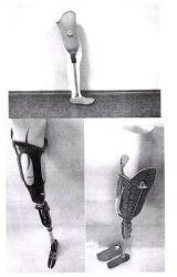 PN6-M modular hip prosthesis