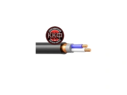 Cable VVGEng(A)-LS 2 x 1,5 kr (0,66) GOST LLC "KKF".