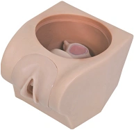 Model for intrauterine contraception, T33B