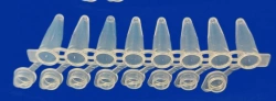 Non-sterile polymer tube for in vitro diagnostics according to TU 32.50.50-021-54287340-2022: Cone microtube PM3K-7-21-P