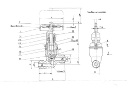 Non-return shut-off valve through fitting DN 20, PN 4,0 MPa ITSHL.491911.008-02 (522-01.501-02)