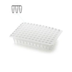 Non-sterile plate for PCR-diagnostics according to TU 32.50.50-011-48072026-2022, variants of execution: 96-well PCR plate witho