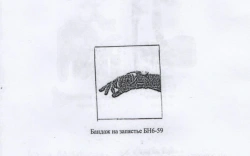 Wrist bandage BN6-59