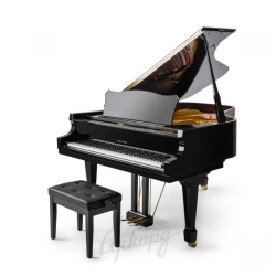 Grand Piano "Nikolay Rubinstein"