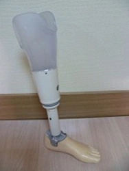 Therapeutic and training tibial prostheses