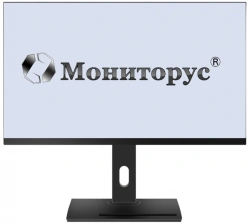 LCD monitor MONITORUS 2410/DP HS2410