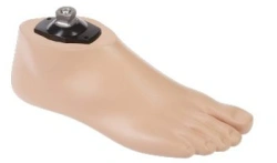 1H02B SACH foot for bathing prosthesis