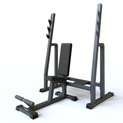 BF-307 Bench for sitting bench presses