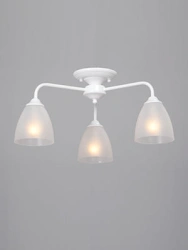 General purpose fixed luminaire V3946-0/3PL