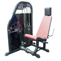 Exerciser leg extension sitting (weight block)