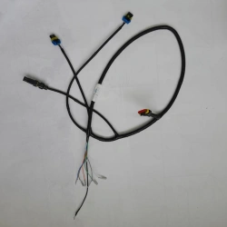 Wiring harnesses for PAZ buses (4234-XXX-XX-3724 010, 4234-XXX-XX-3724 010-XX, 4234-XXX-XX-3724 010-XXX; 4234-3724 010, 4234-372