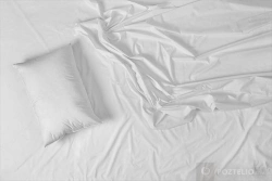 Sheet