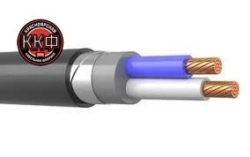 Cable VBSHV ng(A)-LS 2 x 10 kr (0,66) GOST LLC "KKF" GOST