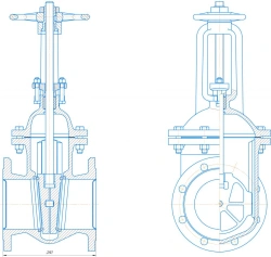 Cast iron wedge gate valve DN 150