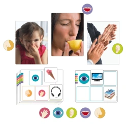 Game "5 senses"