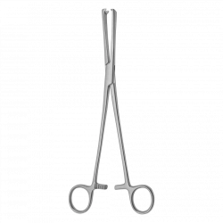 TSH-04-051-24 Double-toothed uterine forceps, straight, 240 mm