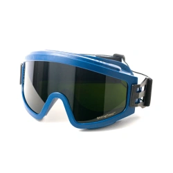 Safety goggles ZN11 PANORAMA StrongGlass™, article no. 21135.