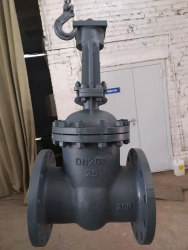 Cast steel wedge gate valves ZKL