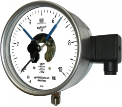 Corrosion resistant signalling pressure gauges DM2005CgCs