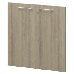 Doors KZF-28 (set of 2 pcs.)